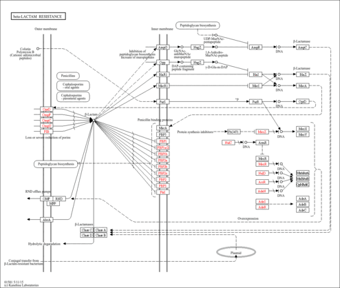 labt01501