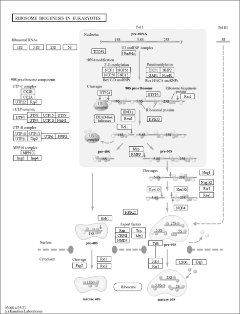 ddi03008