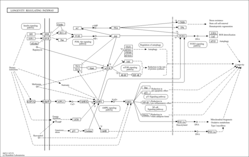 rfq04211