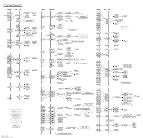lcat04517
