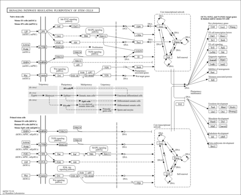 aml04550