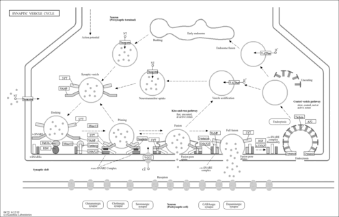 map04721