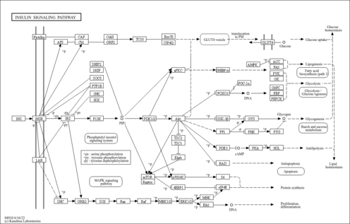 loc04910