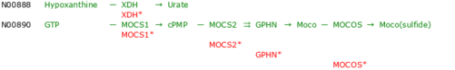 nt06025