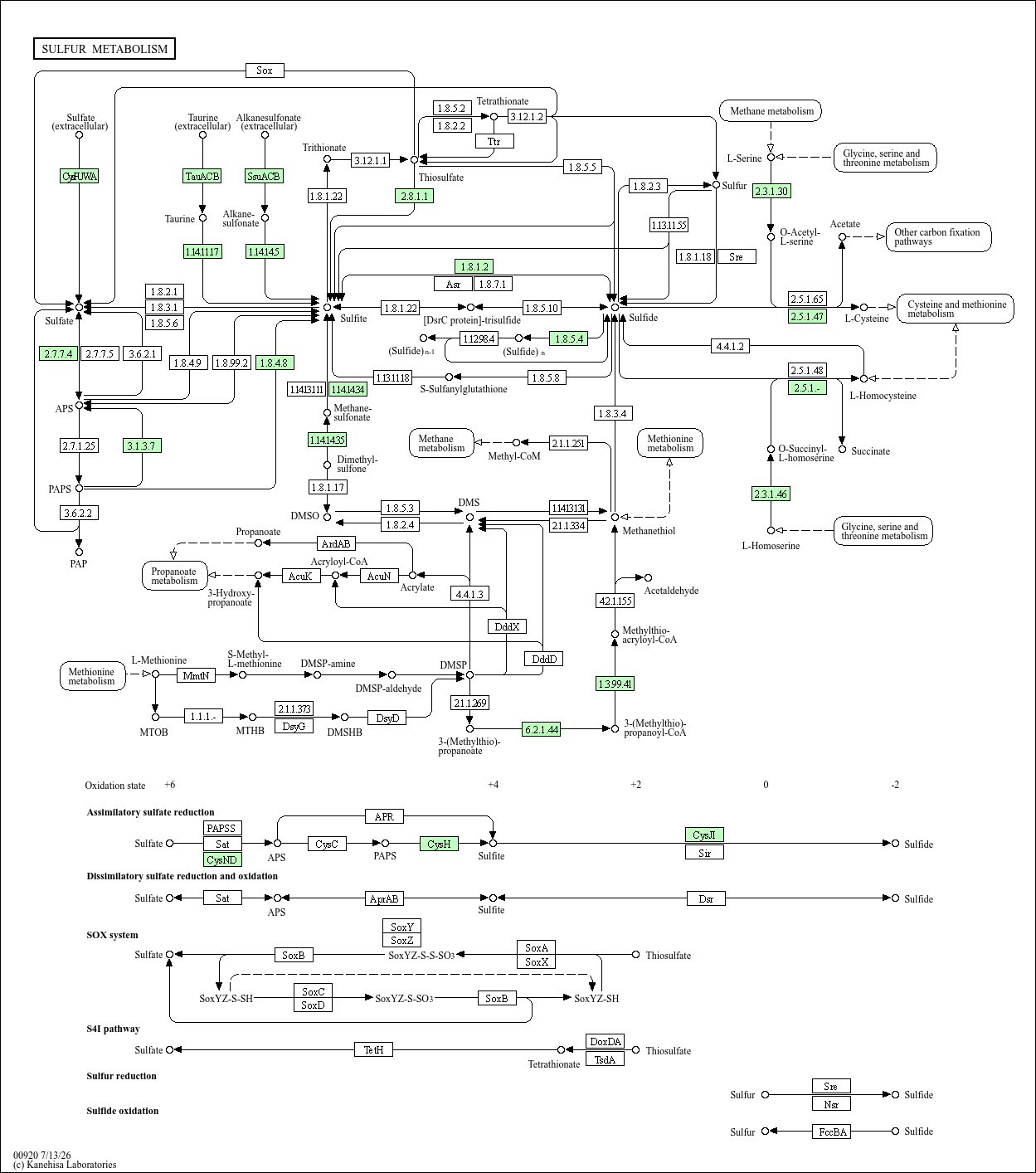 KEGG PATHWAY: Sulfur metabolism - Acinetobacter baumannii AB5075-UW