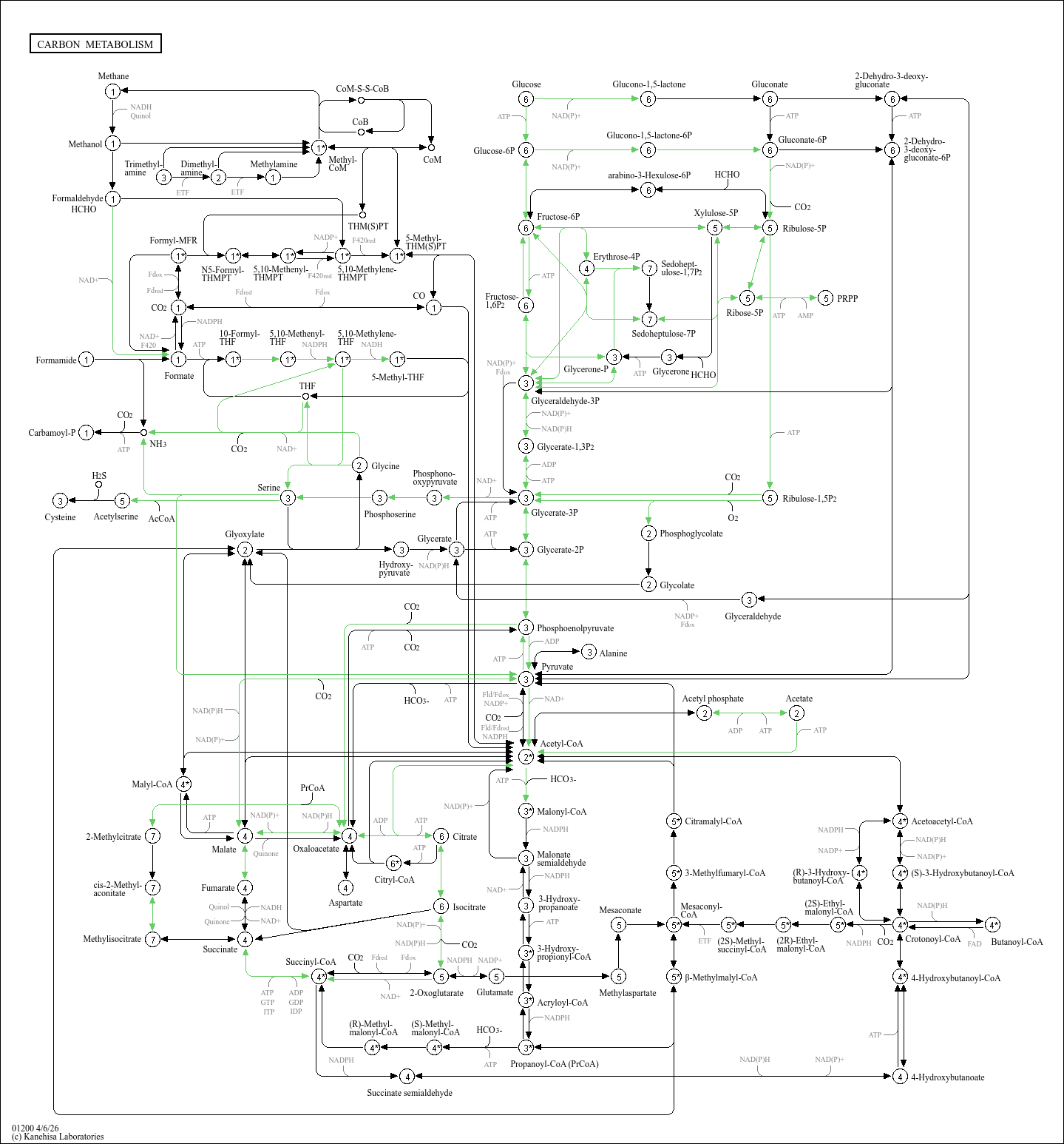Pathaaway KEGG PATHWAY: Carbon metabolism - Acidithiobacillus ferrooxidans ATCC 23270