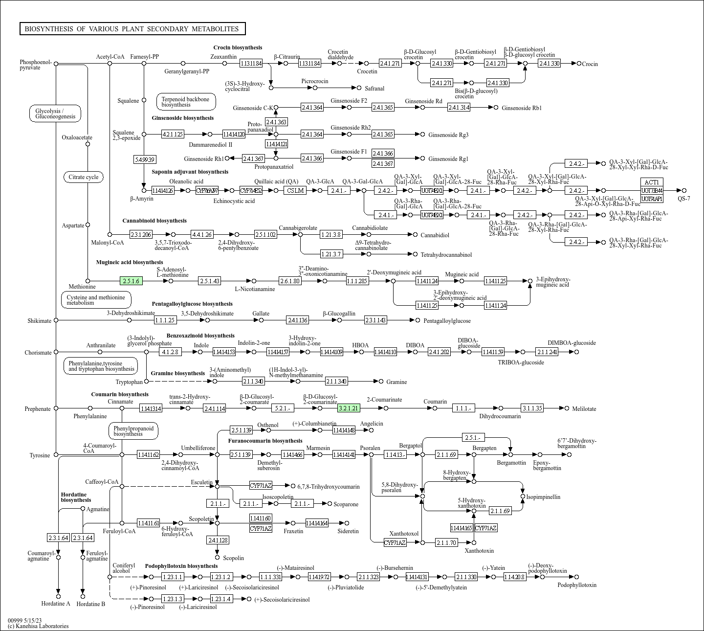 KEGG PATHWAY: Biosynthesis of various plant secondary metabolites ...