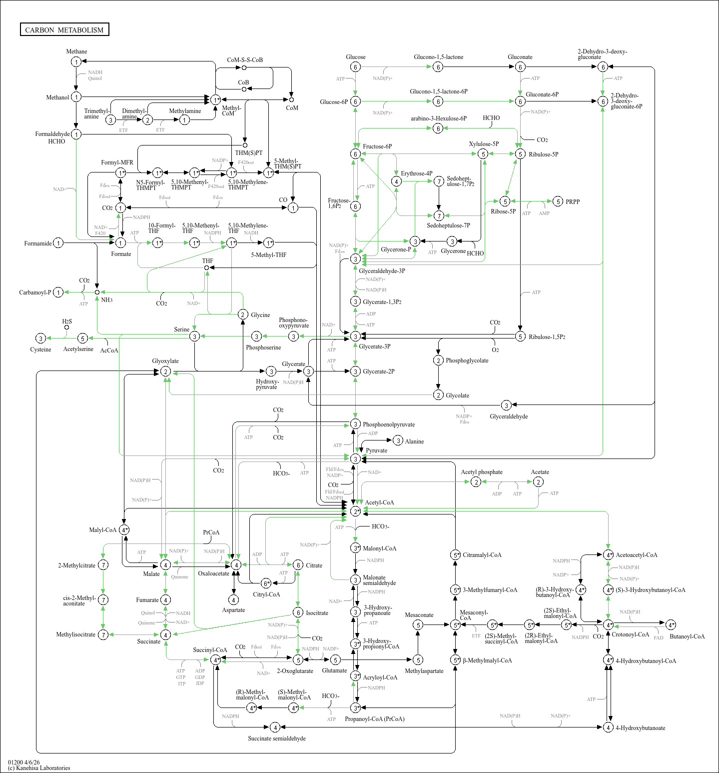 KEGG PATHWAY: Carbon metabolism - Bacillus licheniformis ATCC 14580
