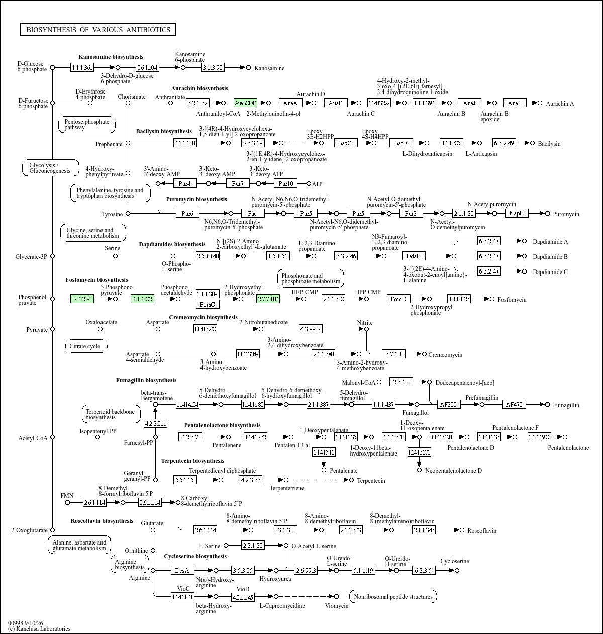 KEGG PATHWAY: Biosynthesis of various antibiotics - Clostridium ...