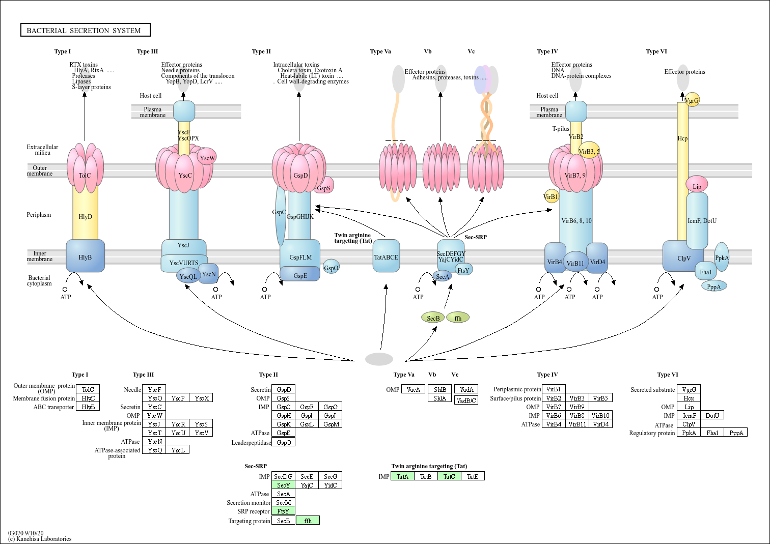 KEGG PATHWAY: Bacterial secretion system - Cenarchaeum symbiosum
