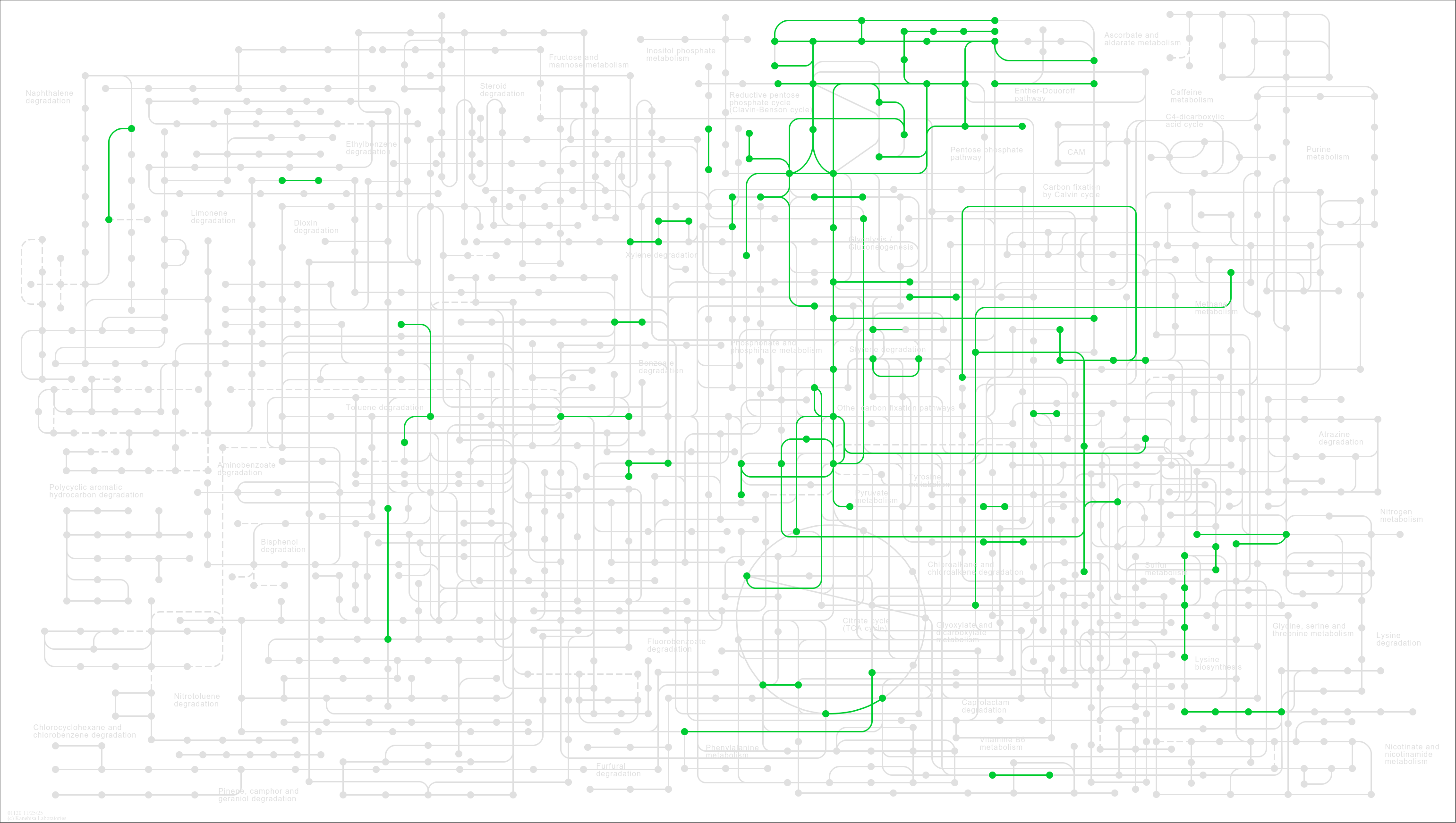 KEGG PATHWAY Microbial metabolism in diverse environments