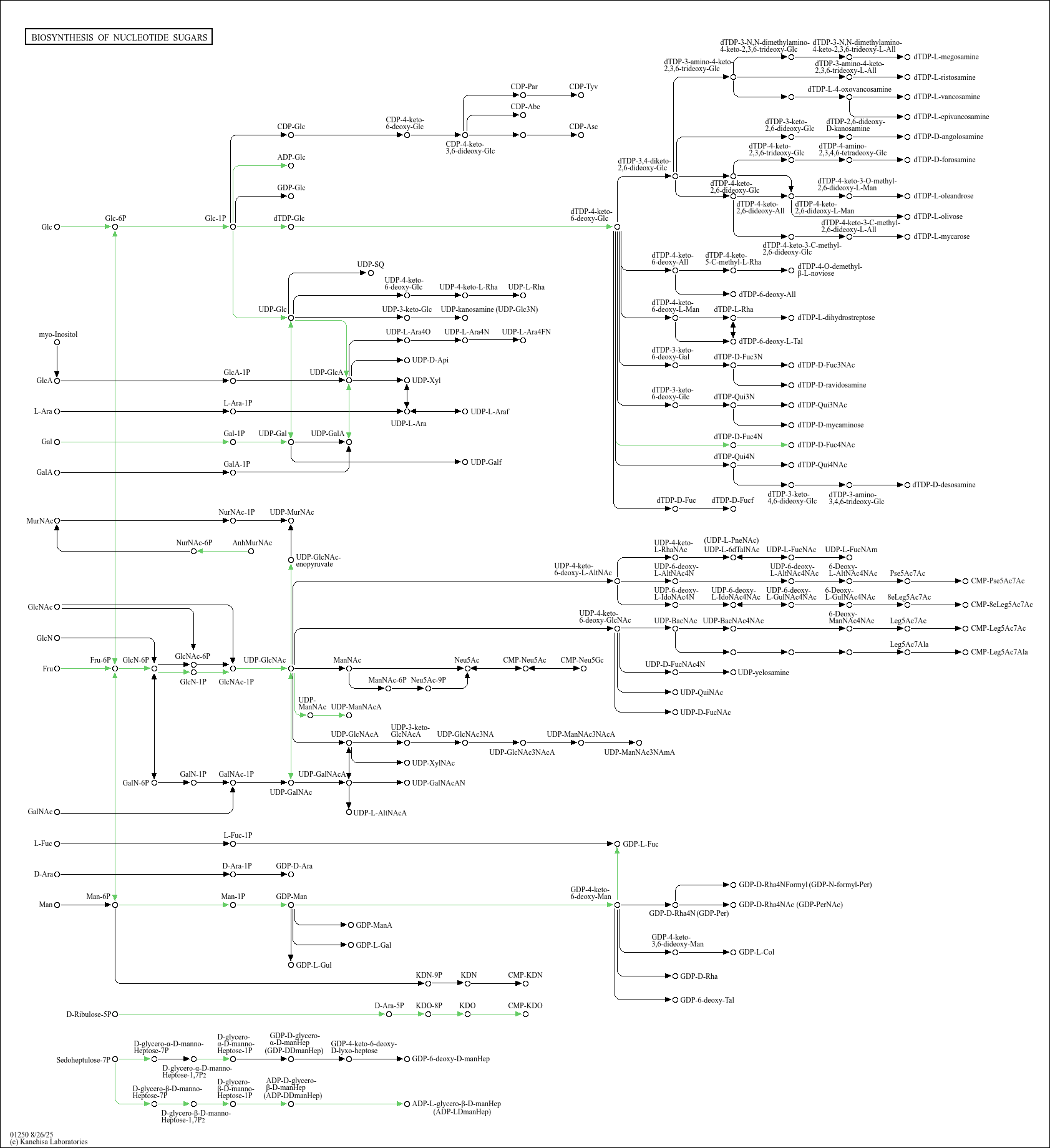 KEGG PATHWAY: Biosynthesis of nucleotide sugars - Cronobacter sakazakii ...