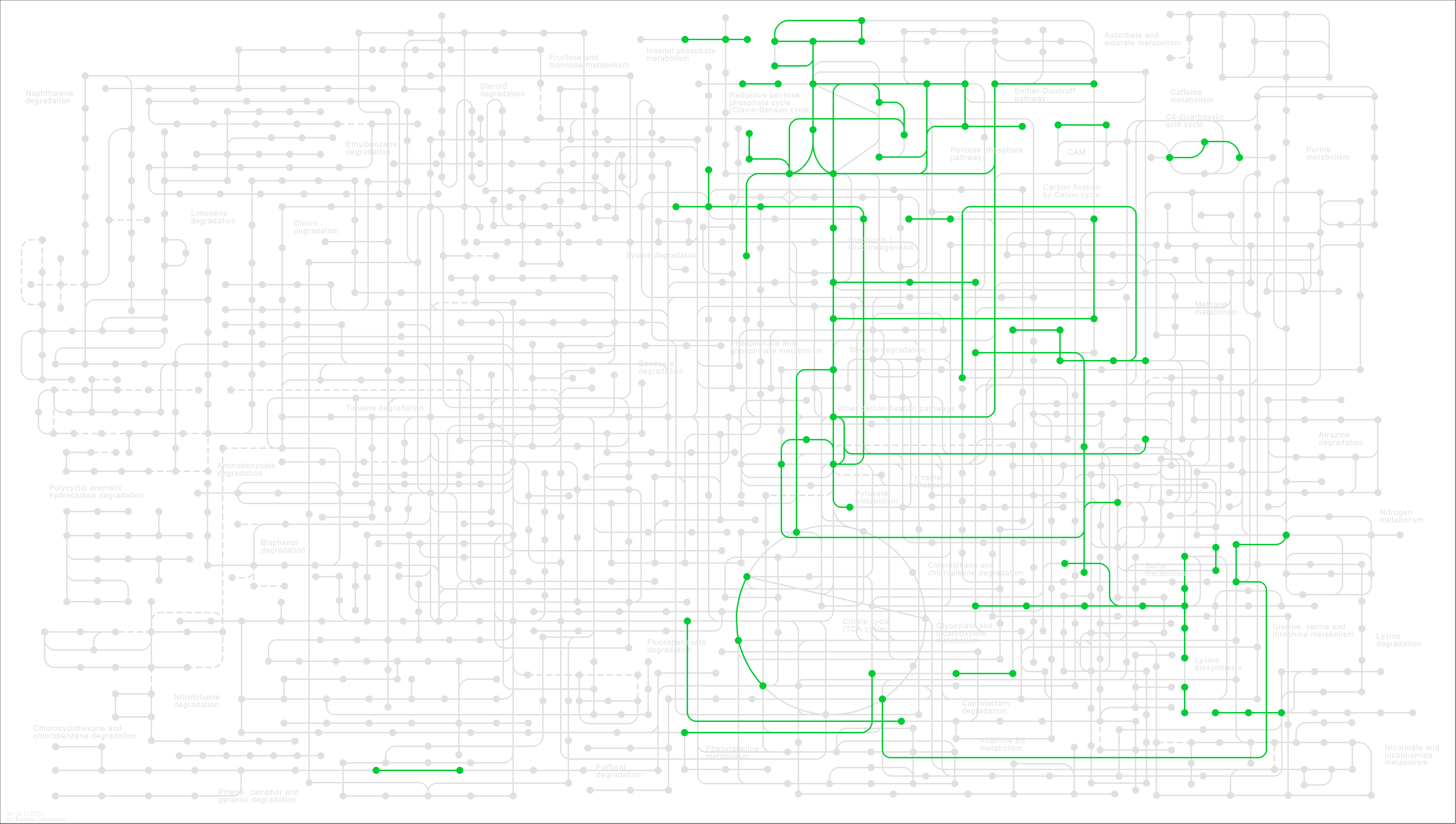 KEGG PATHWAY Microbial metabolism in diverse environments