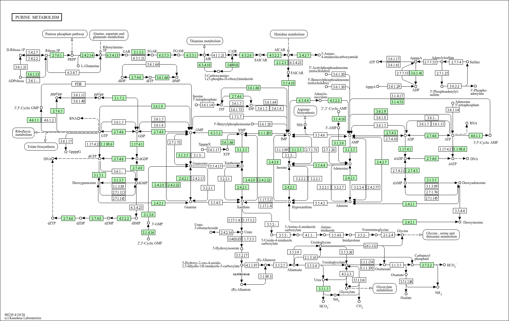 KEGG PATHWAY: Purine metabolism - Haemophilus influenzae 86-028NP ...