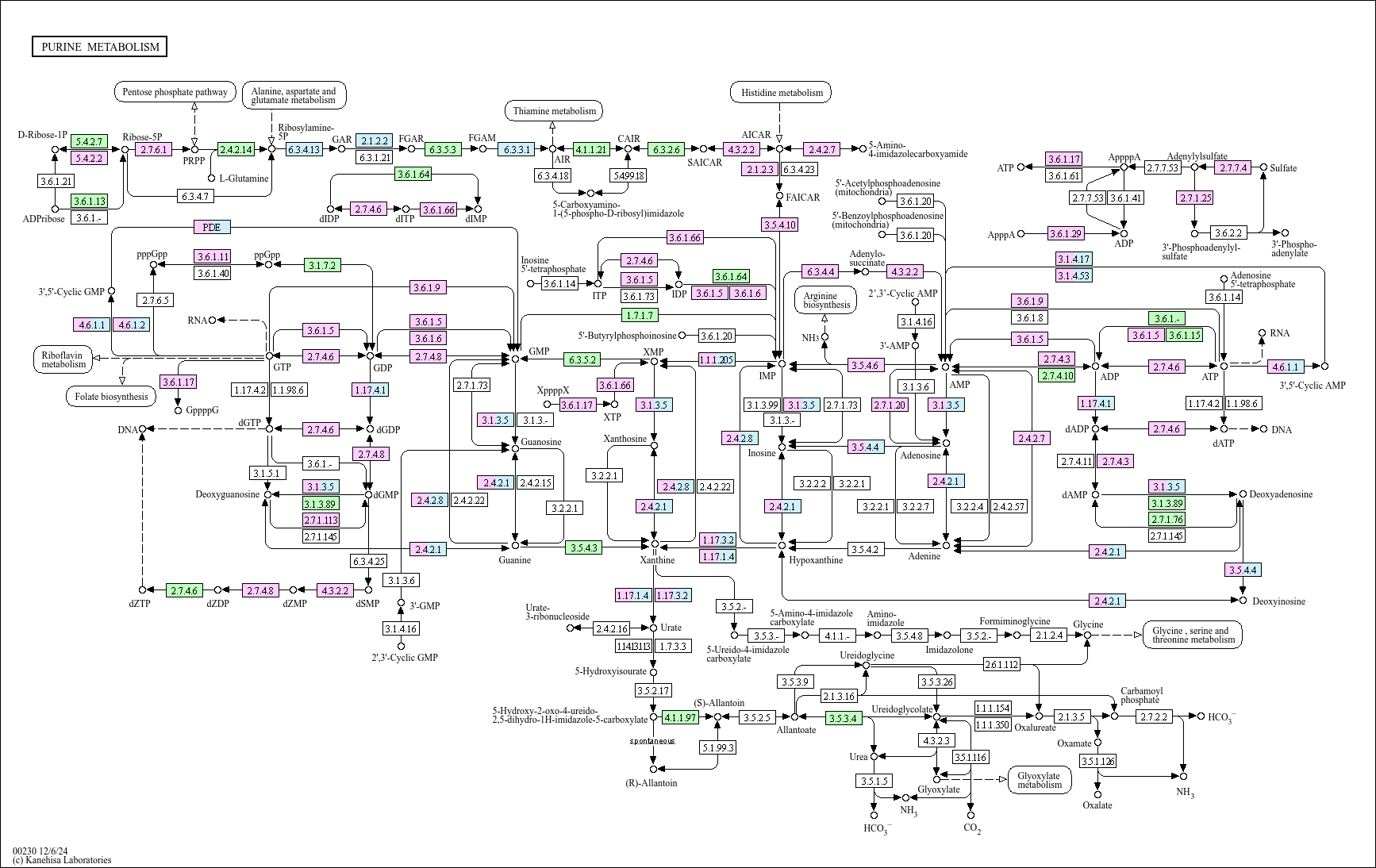 臨床病態栄養学 = Pathophysiological Bases of C… Diosgenin in Dioscorea spongiosa Suppresses Glycolysis