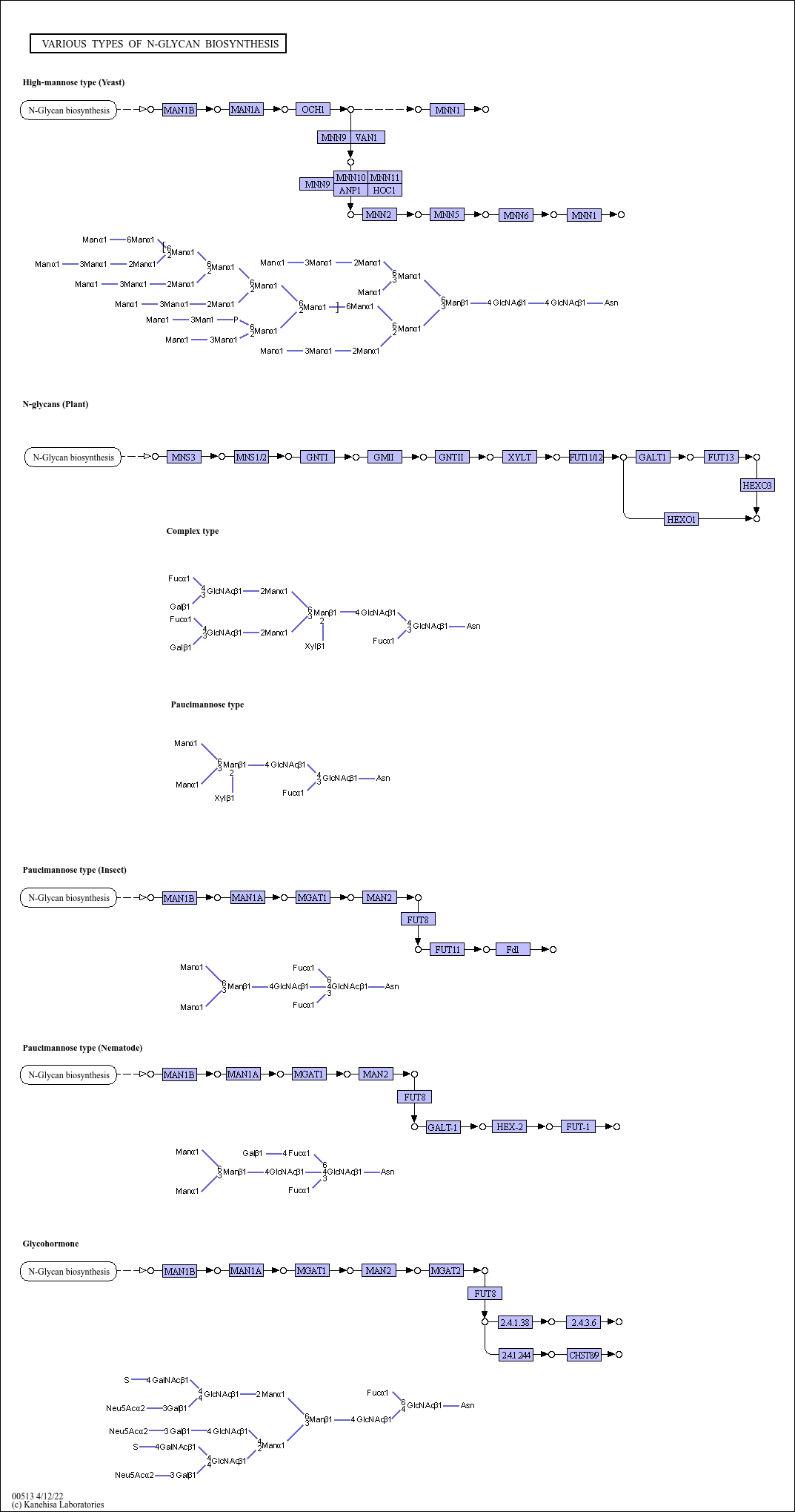 Various Types Of N Glycan Biosynthesis