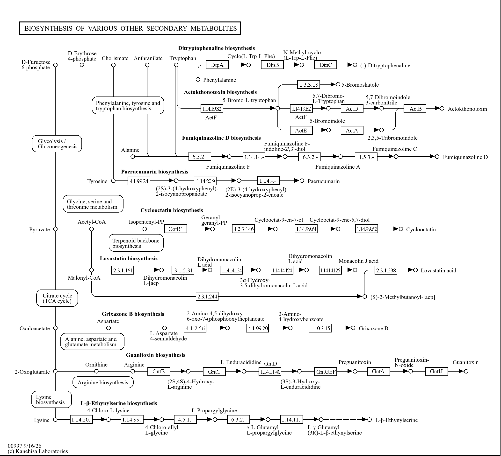 KEGG PATHWAY: Biosynthesis of various other secondary metabolites ...