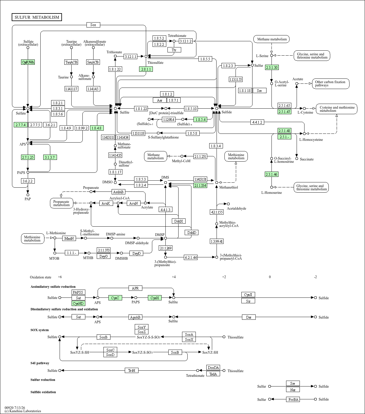 KEGG PATHWAY: Sulfur metabolism - Mycobacterium tuberculosis EAI5/NITR206