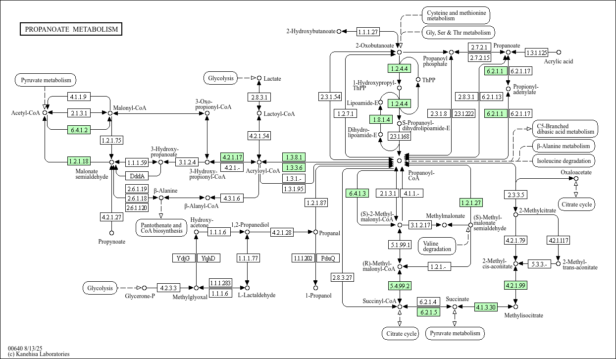 Mxa Rugulation Pathway KEGG PATHWAY: Propanoate metabolism - Myxococcus xanthus