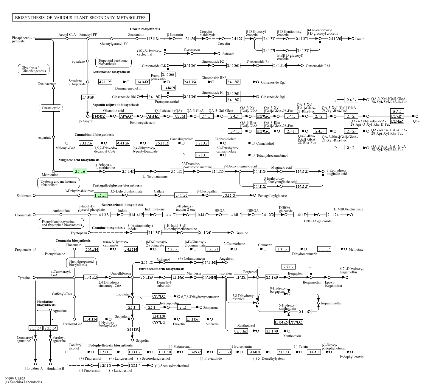 KEGG PATHWAY: Biosynthesis of various plant secondary metabolites ...