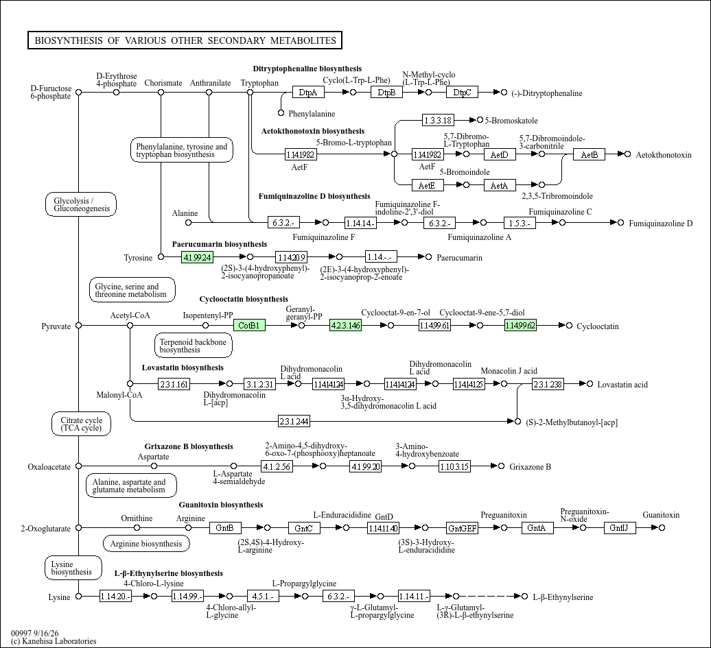 KEGG PATHWAY: Biosynthesis of various other secondary metabolites ...