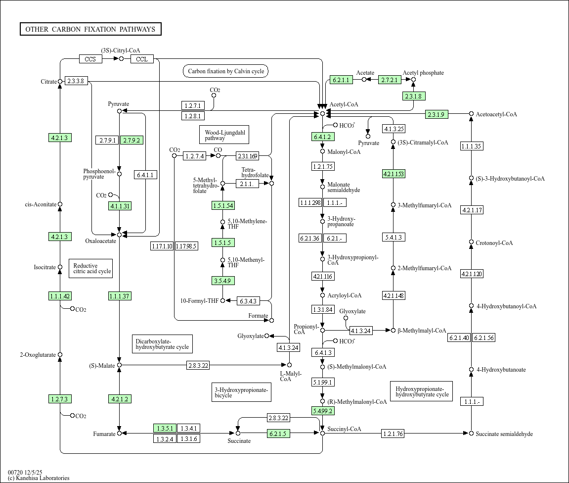 KEGG PATHWAY: Other carbon fixation pathways - Variovorax paradoxus S110